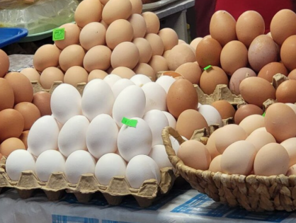 ФАС начала проверки крупнейших ритейлеров  из-за цен на яйца