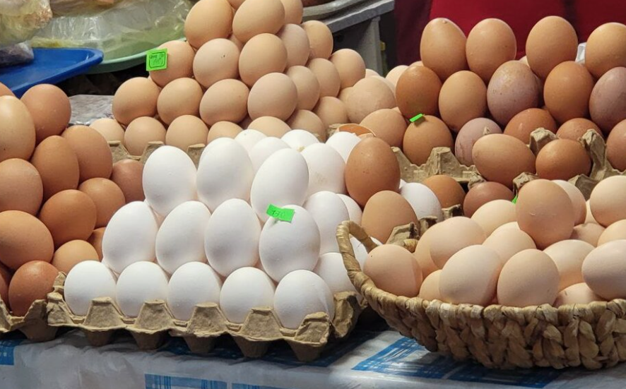 ФАС начала проверки крупнейших ритейлеров  из-за цен на яйца